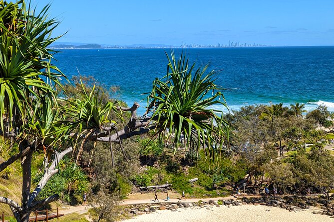 Byron Bay and Bangalow From Gold Coast - Reviews and Ratings Analysis