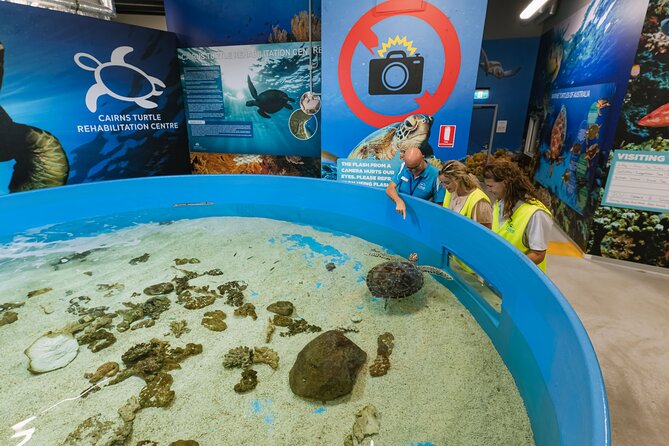 Cairns Aquarium General Admission and Turtle Hospital Tour