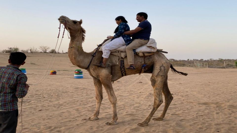 Camel Safari Half Day Tour in Jodhpur With Dinner - Tour Itinerary