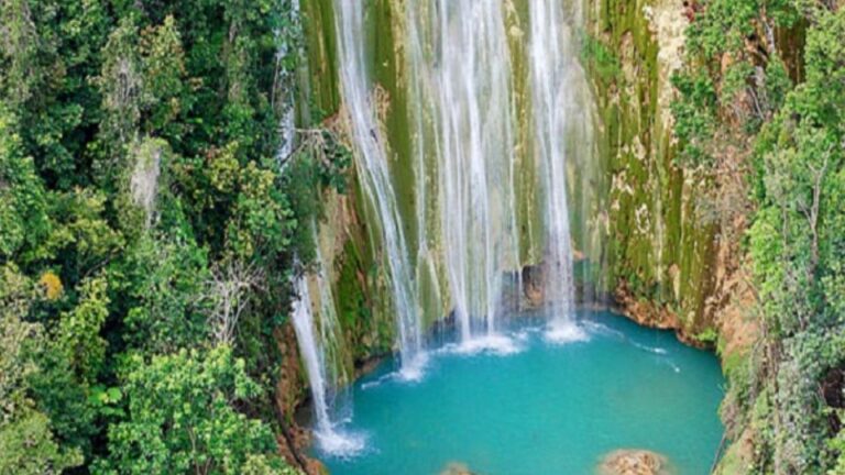 Cana Punta: Samana Full Day Tour to Limon Waterfall