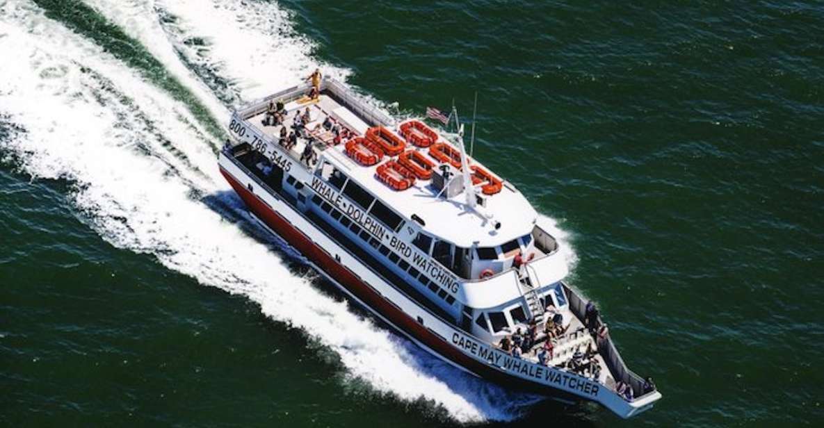Cape May: Grand Lighthouse Cruise - Cruise Highlights and Features