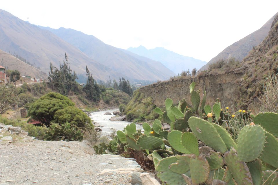 Crossing the Andes and the Amazon