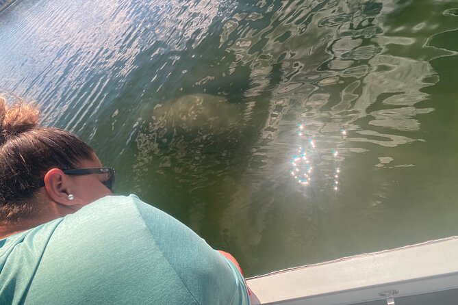 Crystal River: Private Manatee Boat Tour