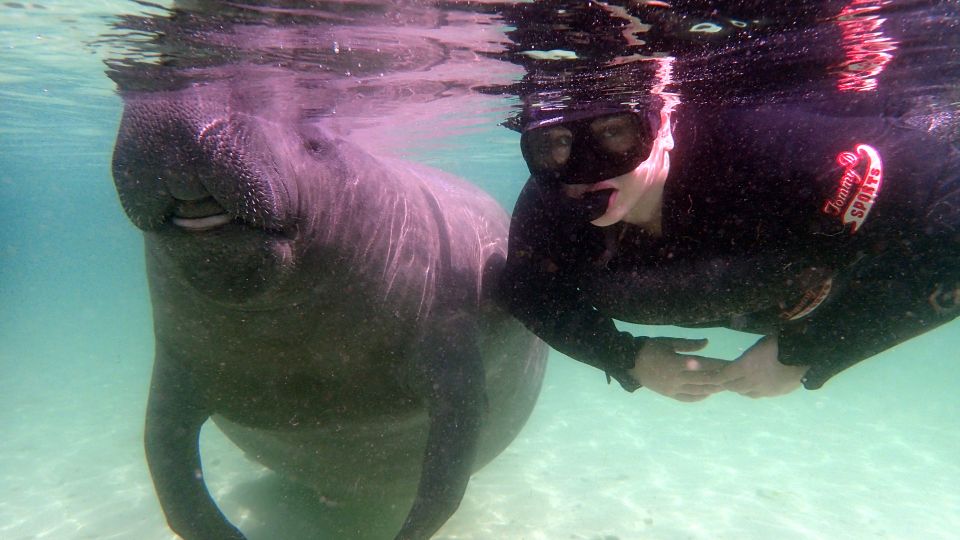 Crystal River: Snorkel With Manatees & Dolphin Airboat Trip