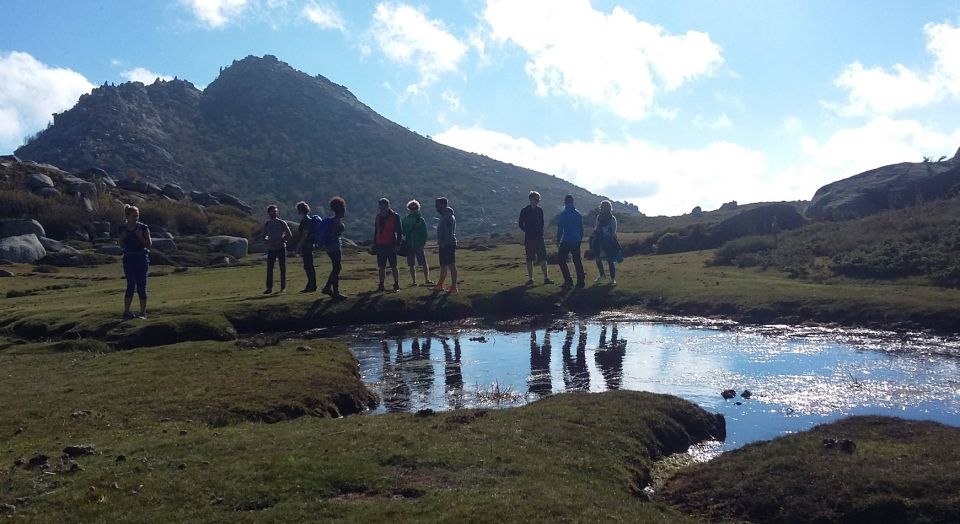 Cuscionus Plateau, 1000 Waterholesgrass : Pozzines