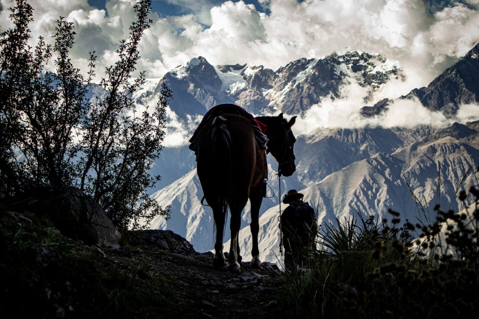 Cusco: Horseback Riding Trek to Machu Picchu 5 Days