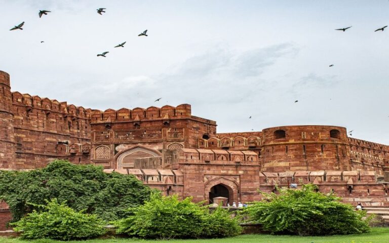 Delhi: All-inclusive Taj Mahal & Agra Fort Guided Day Trip