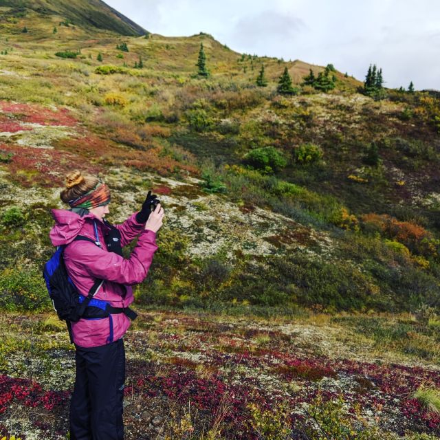Denali: 5-Hour Guided Wilderness Hiking Tour