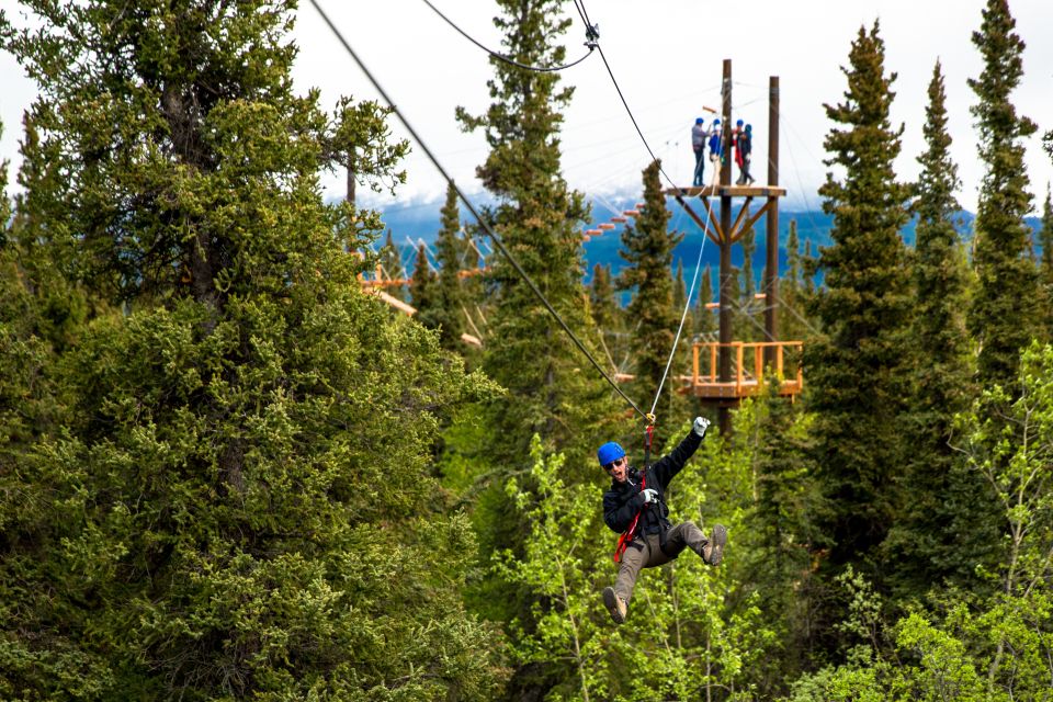Denali Park Zipline Adventure - Experience the Thrill of Ziplining