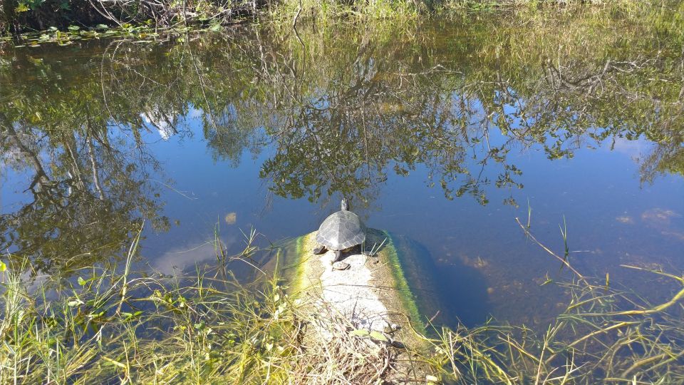 Everglades Airboat Ride & Tram Tour - Additional Details