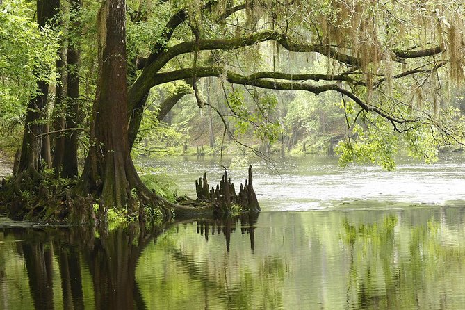 Everglades Airboat, Wildlife Experience With Roundtrip Transfer - Traveler Photos and Featured Reviews