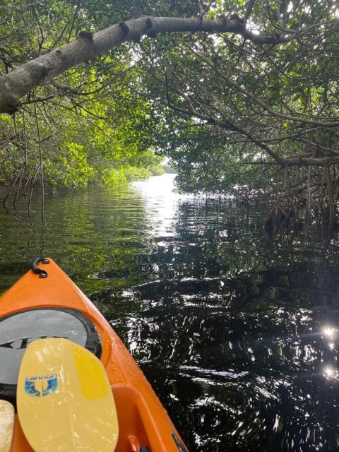 Everglades Kayak Eco Tour - Experience Highlights