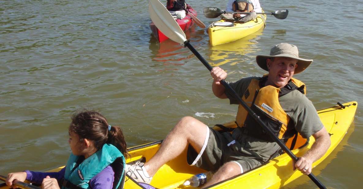 Everglades National Park 3-Hour Kayak Eco Tour - Tour Duration and Cancellation Policy