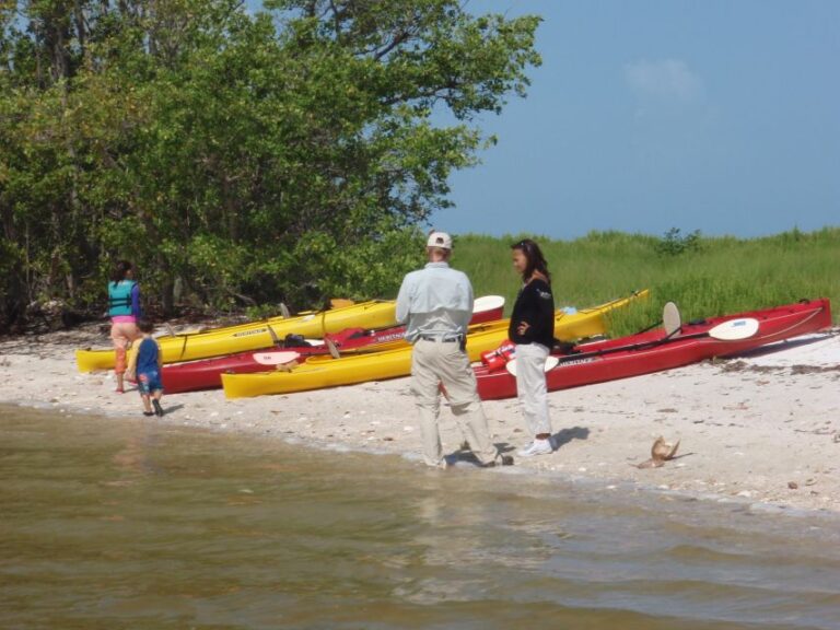 Everglades National Park: Boat Assisted Kayak Eco Tour