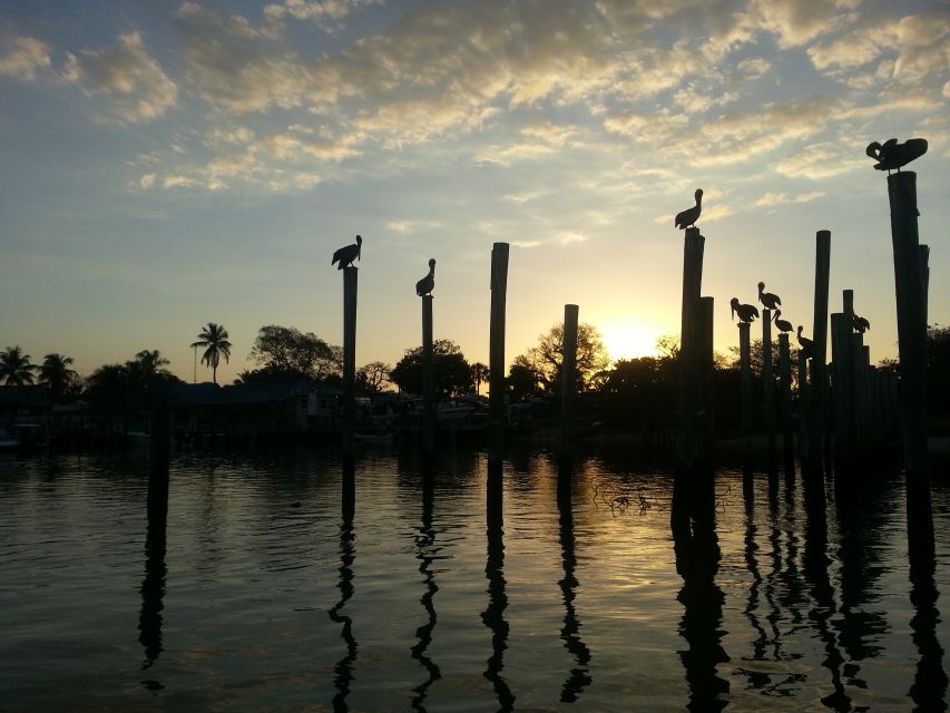 Everglades National Park: Motorboat Eco Tour