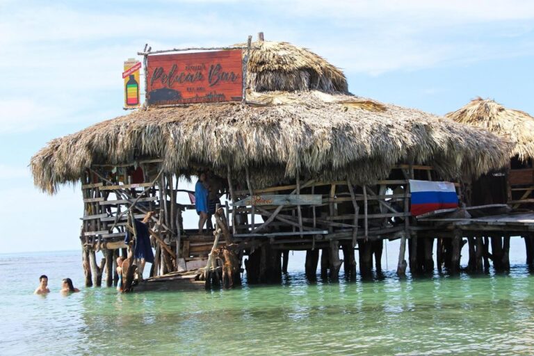 Floyds Pelican Bar and Ys Falls Private Tour