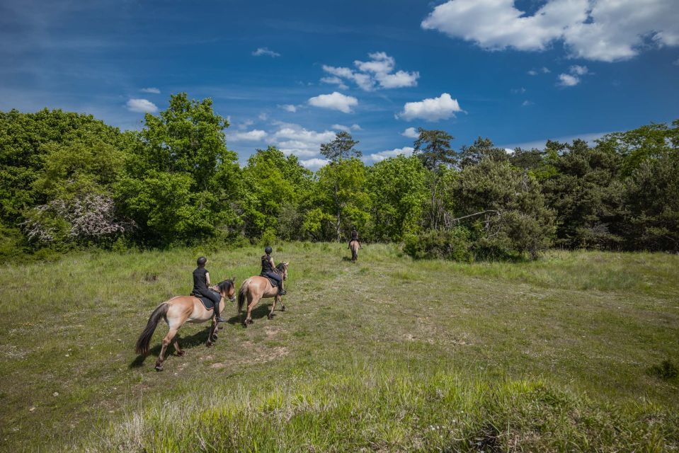 Fontainebleau : Horse-riding, Gastronomy & Château - Forest Horse-riding Experience