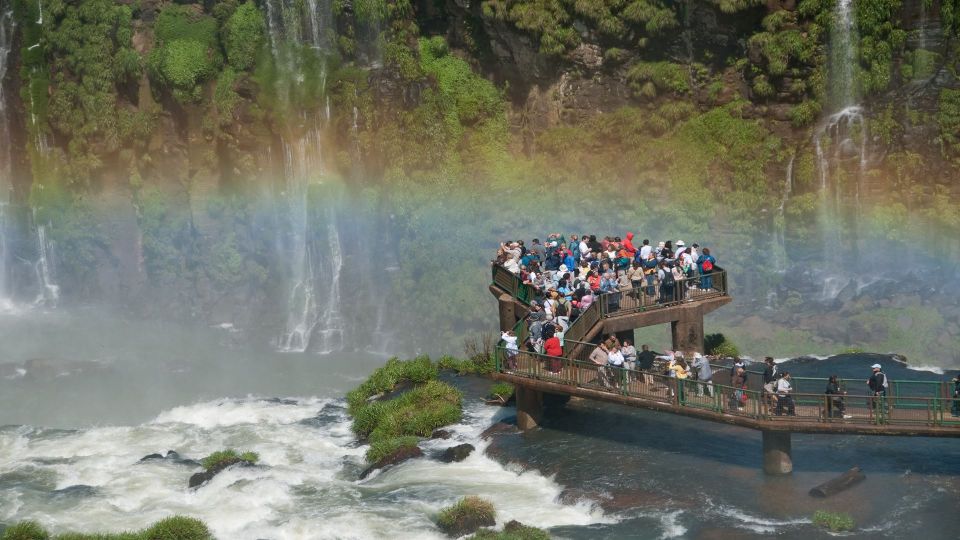 Foz Do Iguaçu: Brazilian Side of the Falls Bird Park - Experience Highlights