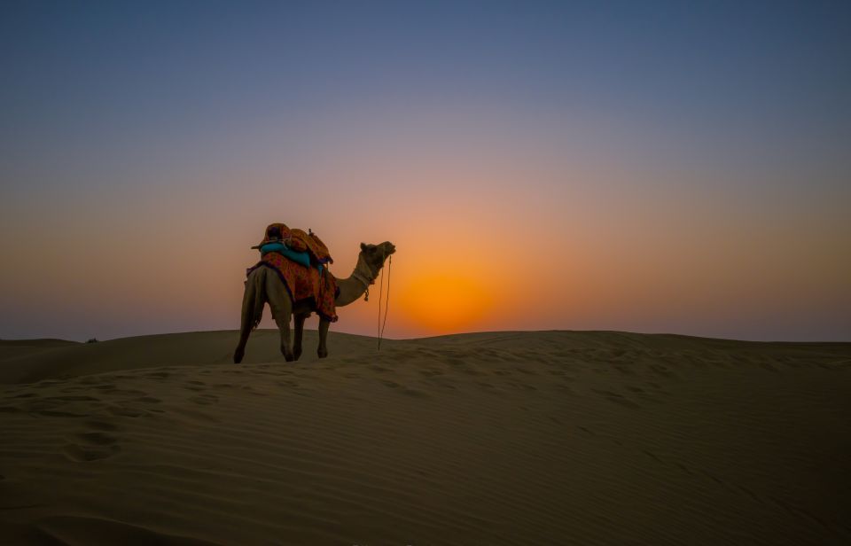 Frenzy Paradise Overnight Desert Camping Tour in Thar Desert