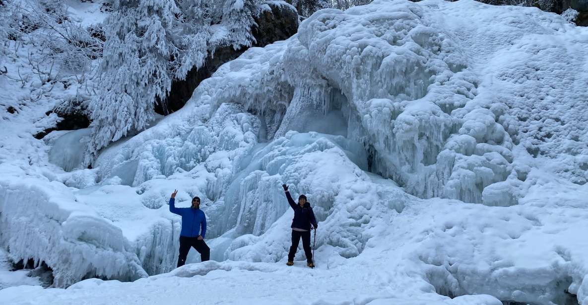 From Anchorage: Chugach State Park Winter Walking Tour - Tour Pricing and Duration