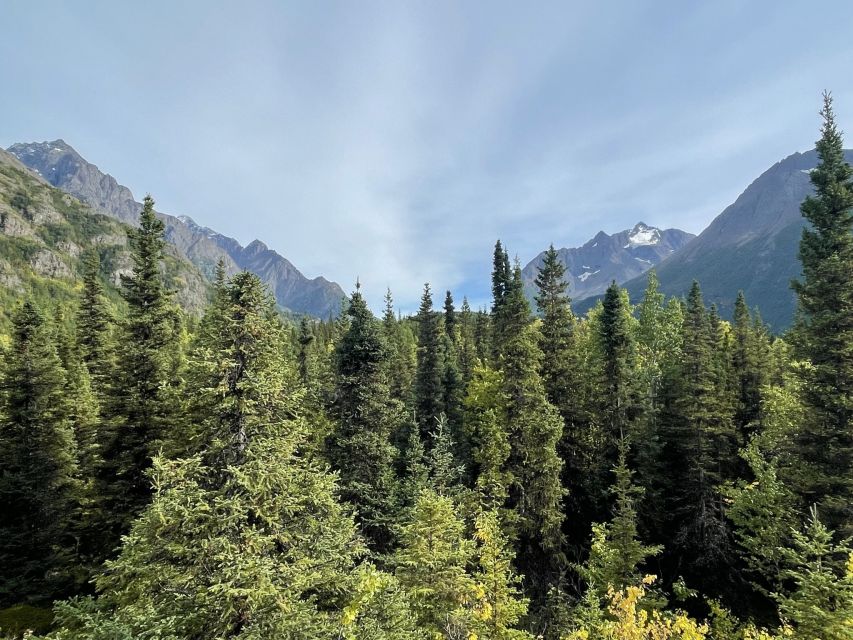 From Anchorage: Valley and Forest Hike With Naturalist Guide