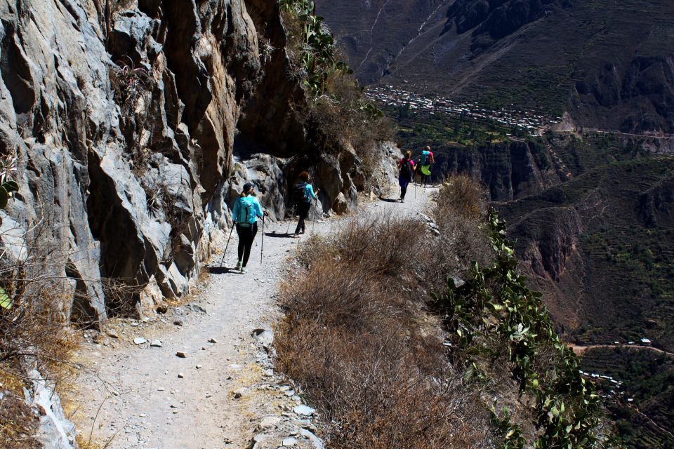 From Arequipa: Trekking to the Colca Canyon |2Days-1Night| - Activity Overview