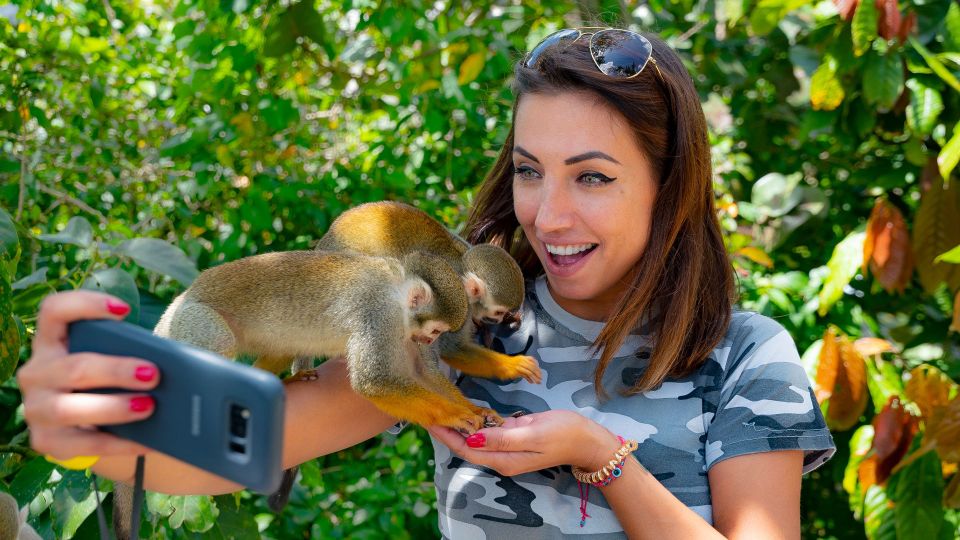 From Bayahibe: Half Day Monkeyland Safari - Tour Details