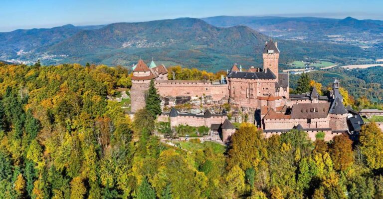 From Colmar: Alsace Wine Route Tour Full Day
