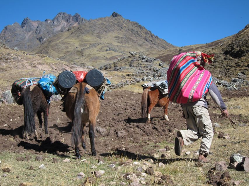 From Cusco: 2-Day Rainbow Mountain Hiking and Camping Trip - Trip Overview