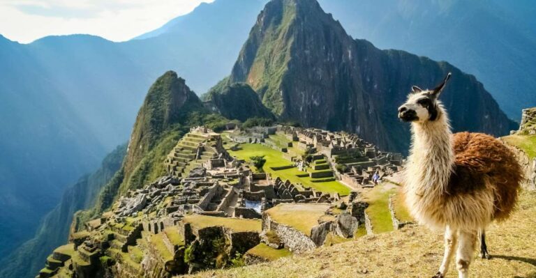 From Cusco: Excursion to Machu Picchu Full Day