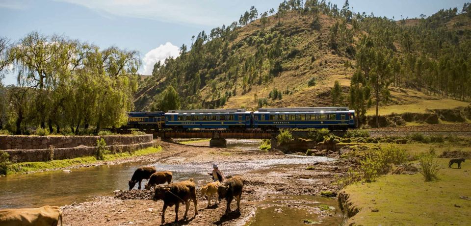 From Cusco: Machu Picchu Full-Day Guided Tour - Testimonials