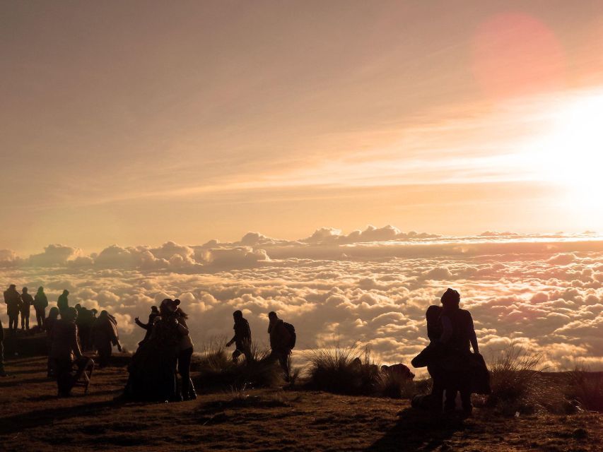 From Cusco: Manu Biosphere Peru 6 Days