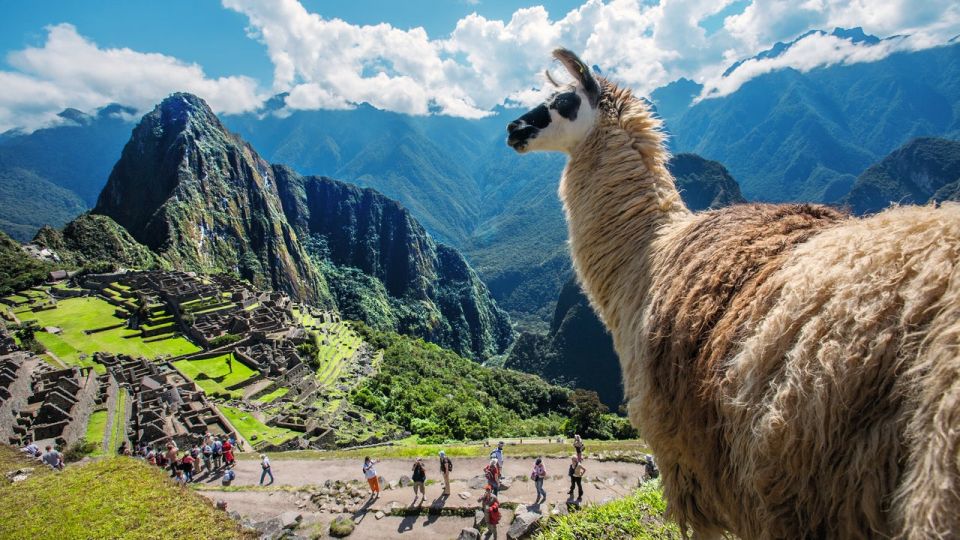 From Cusco: Private Full-Day Machu Picchu Tour With Lunch - Tour Details
