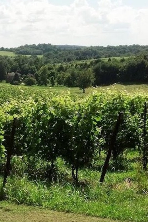 From DC or Balt: Westminster Region Wine Tour With Lunch