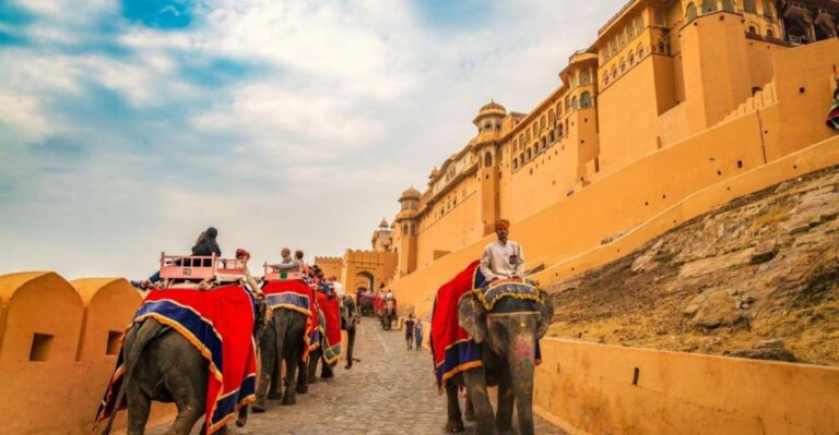 From Delhi: Private Jaipur Guided, City Tour With Transfers