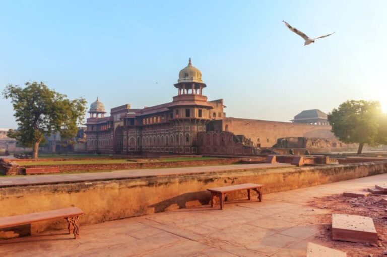 From Delhi: Sunrise Taj and Agra Private Tour By Car