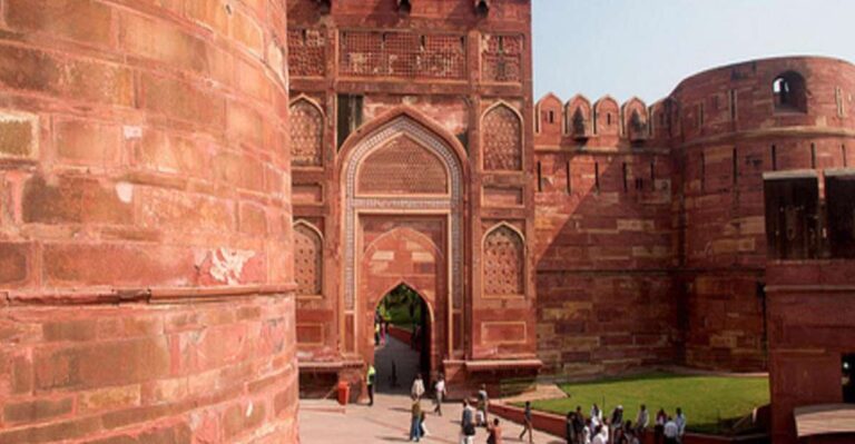 From Delhi: Trip to Taj Mahal, Wildlife SOS and Agra Fort