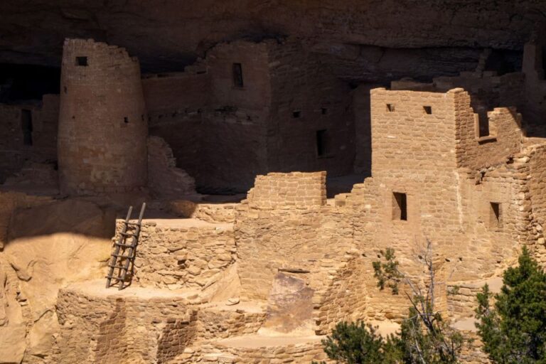 From Durango: Mesa Verde Express Tour & Cliff Palace Tickets