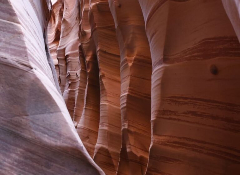 From Escalante: Zebra Slot Canyon Guided Tour and Hike