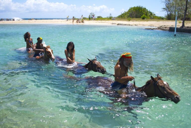From Falmouth: Horseback Ride N Swim With Green Grotto Caves