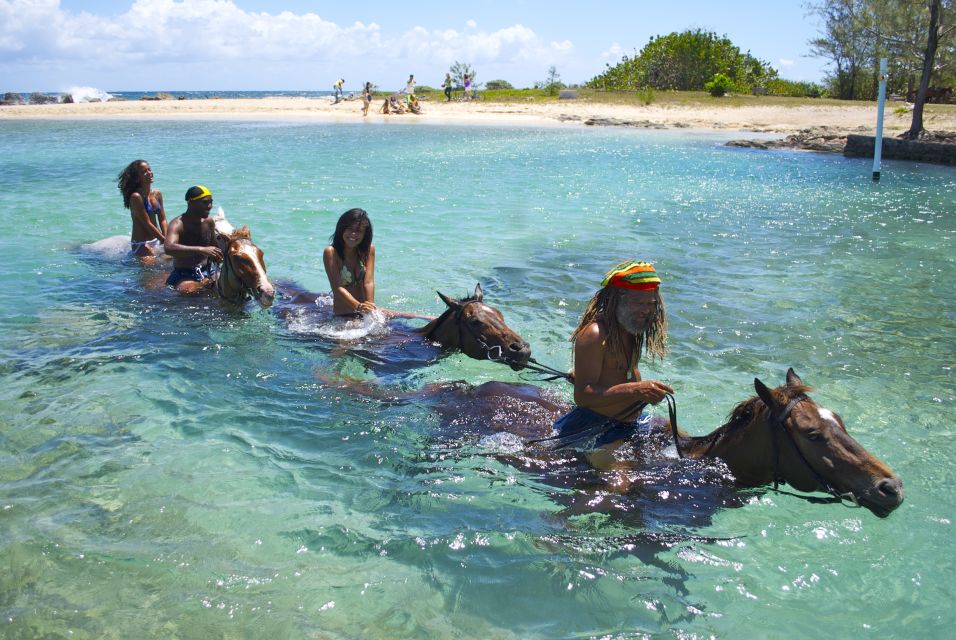 From Falmouth: Horseback Ride N Swim With Green Grotto Caves - Activity Details