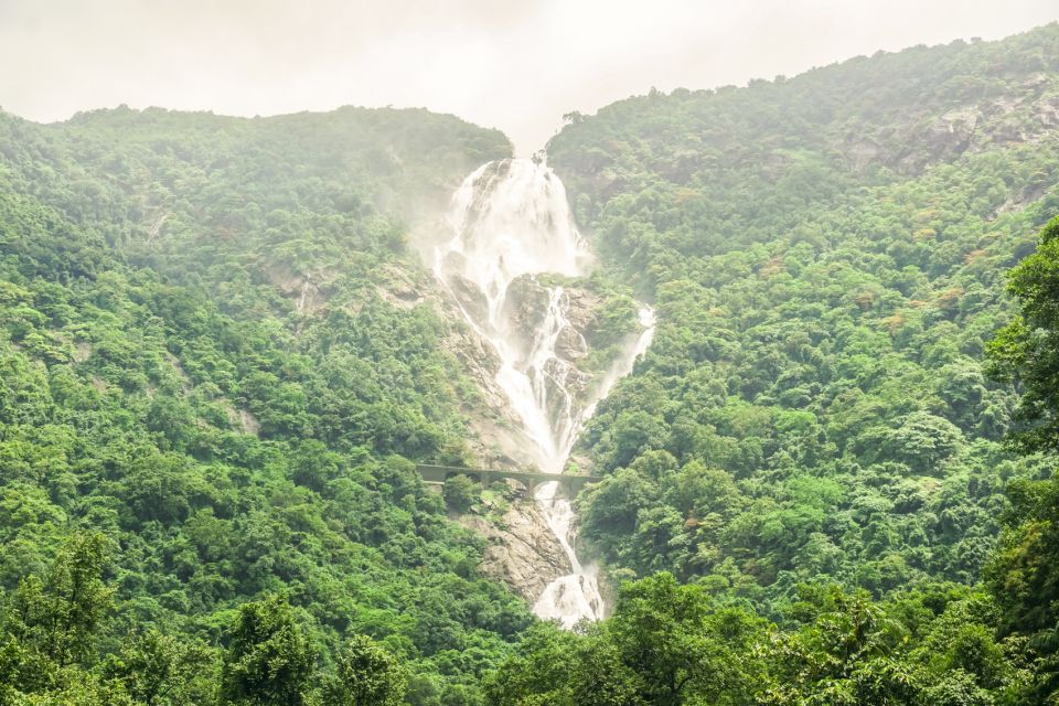 From Goa: Dudhsagar Waterfalls & Plantation Tour - Itinerary