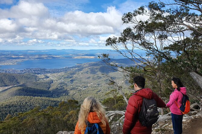 From Hobart: Mt Wellington Morning Walking Tour - Tour Overview