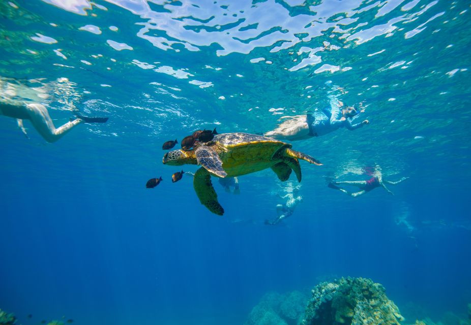 From Kihei: Molokini Snorkeling Adventure Tour - Customer Reviews