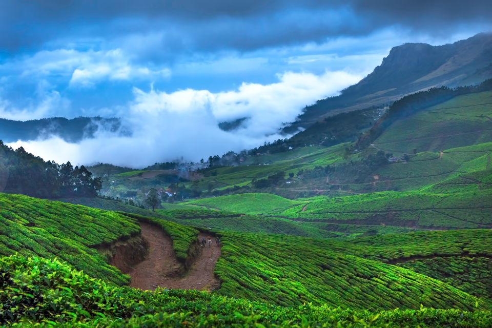 From Kochi: Munnar & Tea Museum Private Guided Tour - Tour Highlights