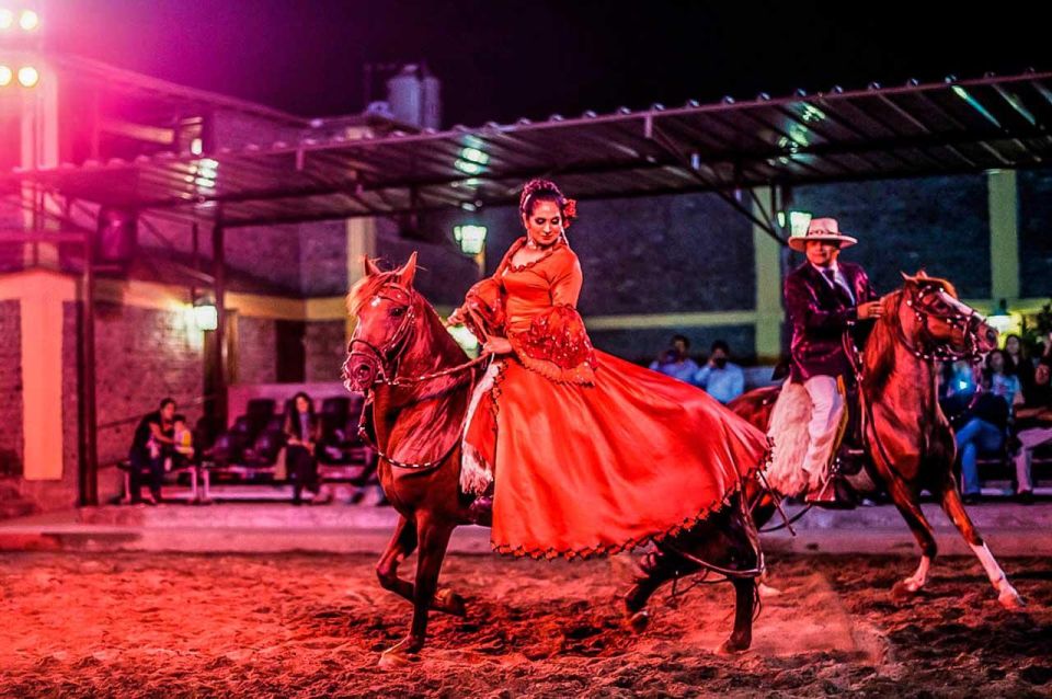 From Lima: Dinner Show & Paso Horses - Activity Details