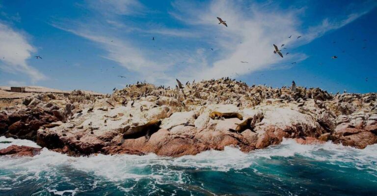 From Lima: Tour With Ica-Paracas-Cusco 9d/8n + Hotel ☆☆