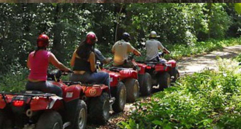 From Lucea/Montego Bay: Blue Hole & Dunns River Falls Tour