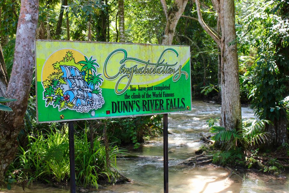 From Montego Bay: Dunn's River Falls Experience - Tour Details