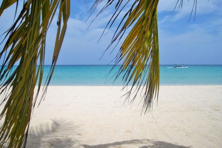 From Montego Bay: Negril Beach and Ricks Café Day Trip